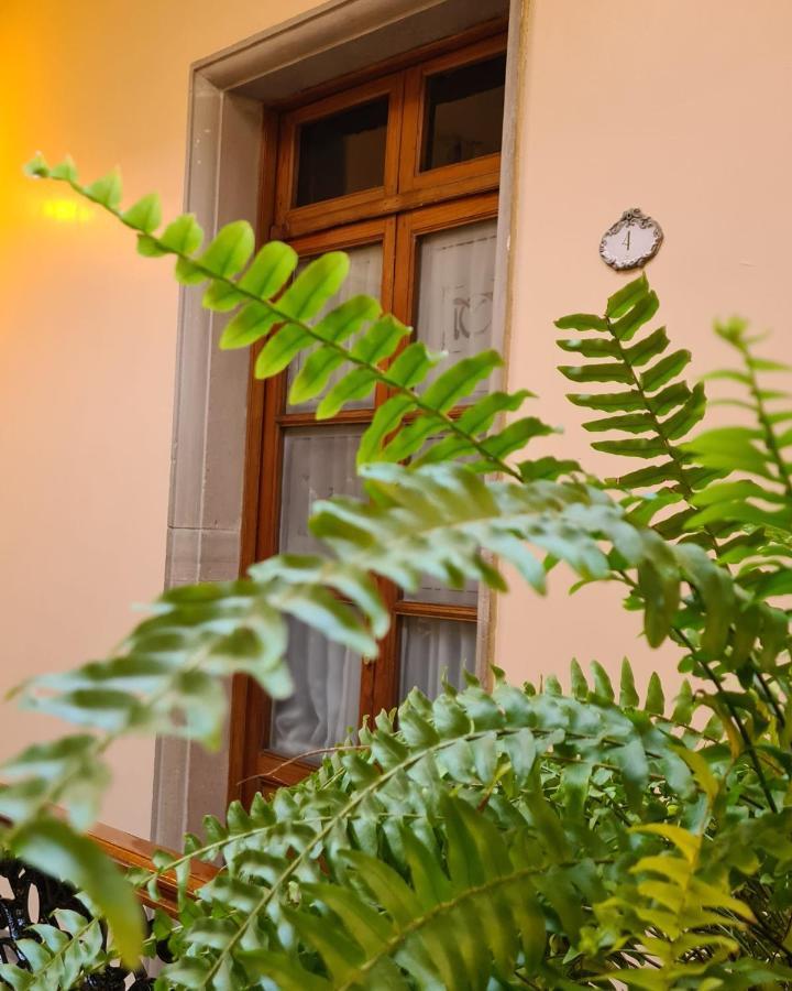 Hotel Boutique Casa De Las Manrique Guanajuato Kültér fotó